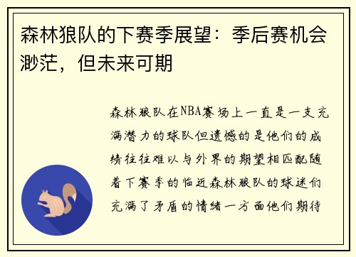 森林狼队的下赛季展望：季后赛机会渺茫，但未来可期